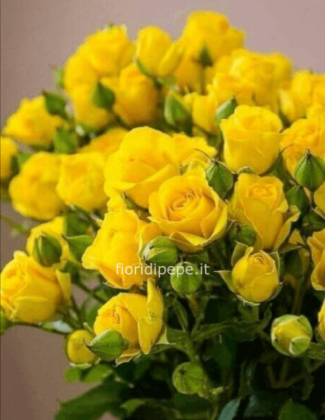 Bouquet di roselline ramificate gialle