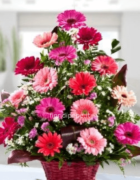 Cesto con fiori primaverili.gerbere multicolor