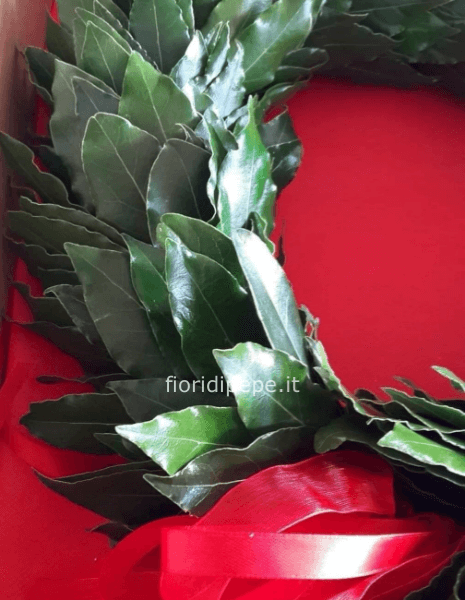 Coroncina di alloro per laurea