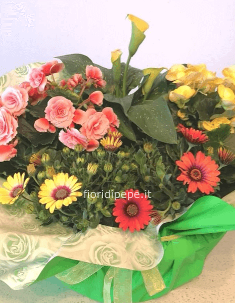 Composizioni floreali di piante da esterno 